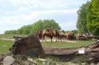 ZOO Ostrava (2/4)