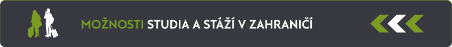 studium a stáže v zahraničí