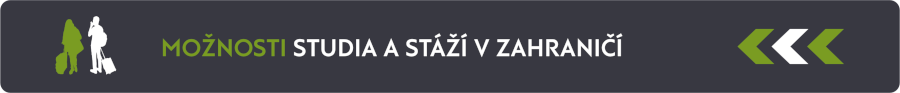 Studium a stáže v zahraničí