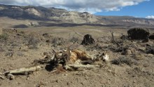 Patagonie – země jezer, větru a mnoha geomorfologických příběhů…