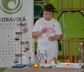 Obrázek