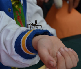 Den Země 2018 v podání PřF OU