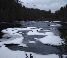 NP Oulanka, FinskoAutor: Kateřina Fajtlová a Eliška Škromachová