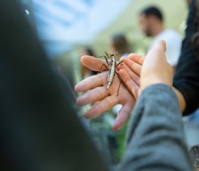 Noc vědců 27. září 2019 na Ostravské univerzitě