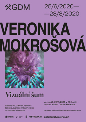 Veronika Mokrošová: Vizuální šum