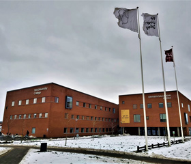 VIA University College, kampus  Viborg, Dánsko, Katedra sociální pedagogiky