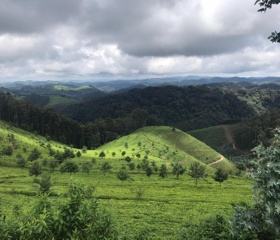 Exkurze Rwanda