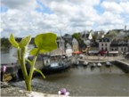 Auray