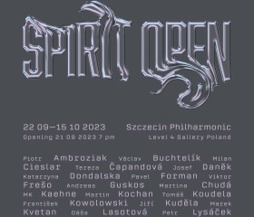 Spirit open – výstava, Szczecin