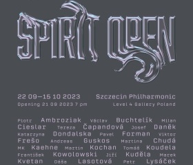 Spirit open – exhibition, Szczecin