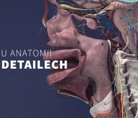 3D anatomický atlas Anatomyka