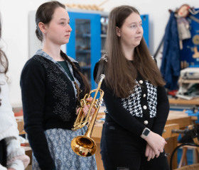 Sázení mořeny barvířské