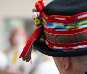 Sázení mořeny barvířské