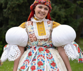 Sázení mořeny barvířské