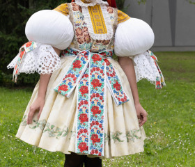 Sázení mořeny barvířské