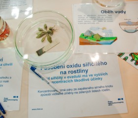 Jarní týden udržitelnosti na Ostravské univerzitě 2025 se uskutečnil ve dnech 22.– 29. dubna a skládal se z Mlýnského SWAPu, květinové poradny a upcyklace oblečení, besedy Proměna Moravskoslezského kraje ve stínu klimatické změny, Dne Země v Komenského sadech se studentskými organizacemi PřF OU a City Nature Challenge Ostrava, vycházkami do přírody za městskou divočinou. Akce se konaly v rámci projektu „Podpora zelených dovedností a udržitelnosti na OU“ reg. č. NPO_OPU_MSMT-2120/2024-4 financováno Evropskou unií NextGenerationEU, NPO a MŠMT.Autor: Jana Greplová