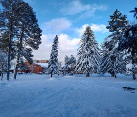 Spring Semester at Northern Arizona University: When a fulfilled dream combines with a valuable experience