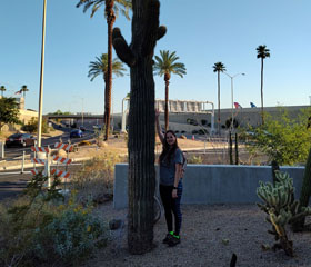 Spring Semester at Northern Arizona University: When a fulfilled dream combines with a valuable experience