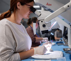 Centre of Excellence Workshop