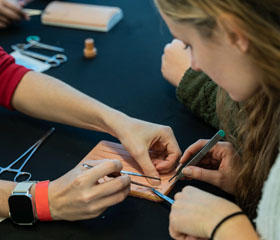 Den zdraví 2025 Den zdraví 2025