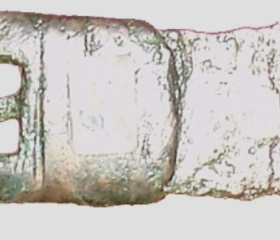 Nová genetická studie odhaluje pravěké kořeny Finů, Estonců a Maďarů