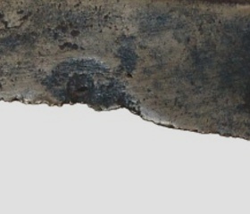 Nová genetická studie odhaluje pravěké kořeny Finů, Estonců a Maďarů