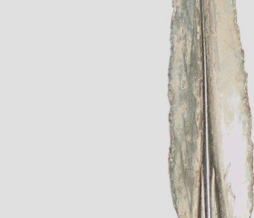 Nová genetická studie odhaluje pravěké kořeny Finů, Estonců a Maďarů