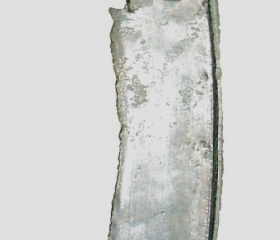 Nová genetická studie odhaluje pravěké kořeny Finů, Estonců a Maďarů