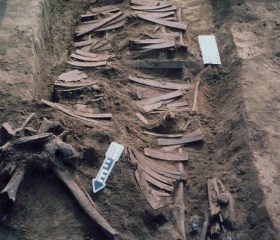 Nová genetická studie odhaluje pravěké kořeny Finů, Estonců a Maďarů