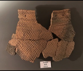 Nová genetická studie odhaluje pravěké kořeny Finů, Estonců a Maďarů