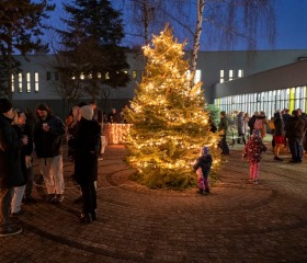 Rozsvícení vánočního stromečku Rozsvícení vánočního stromečku