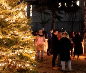 Rozsvícení vánočního stromečku Rozsvícení vánočního stromečku