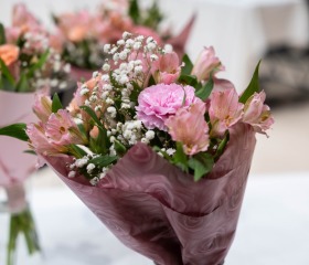 Promoce – září 2025