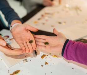 Noc vědců 2025 Noc vědců 2025