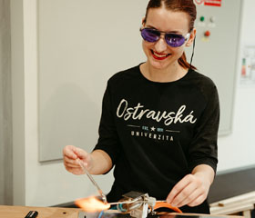 Den otevřených dveří