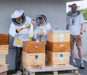 Stáčení medu na LF&nbsp;OU 2026