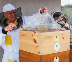 Stáčení medu na LF&nbsp;OU 2026