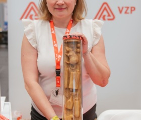 Za Kariérou 