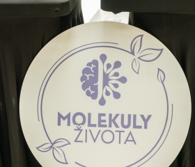 Den Zdraví