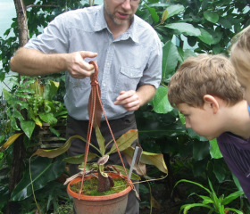 Botanická zahrada Přírodovědecké fakulty se otevřela i školákůmCopyright: Marie Opálková