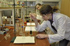 Chemičtí olympionici se připravují na Přírodovědecké fakultě