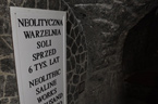 Exkurze do unikátního solného světa ve Wieliczce