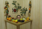 IQ park Liberec