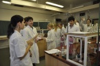 Anglická výuka v chemické laboratoři