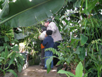 Botanická zahrada Přírodovědecké fakulty vystavovala citrusy